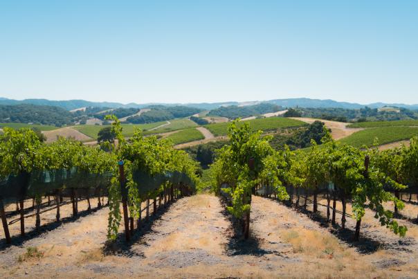 Sustainably SLO CAL