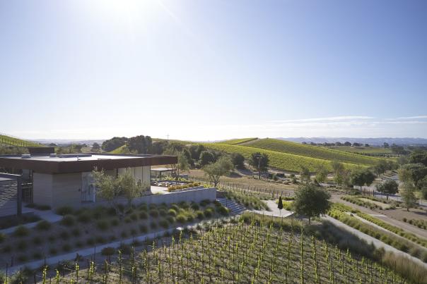Booker Vineyard