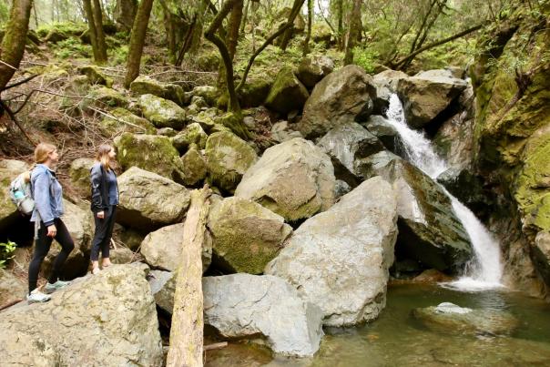 Three Ways to Wellness in Sonoma Valley