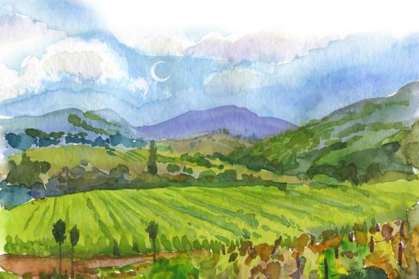 Sonoma vineyards and mountains as a watercolor