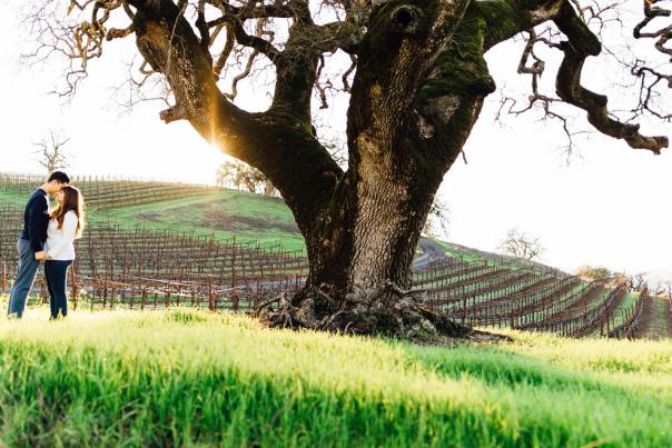 Romantic Vineyard