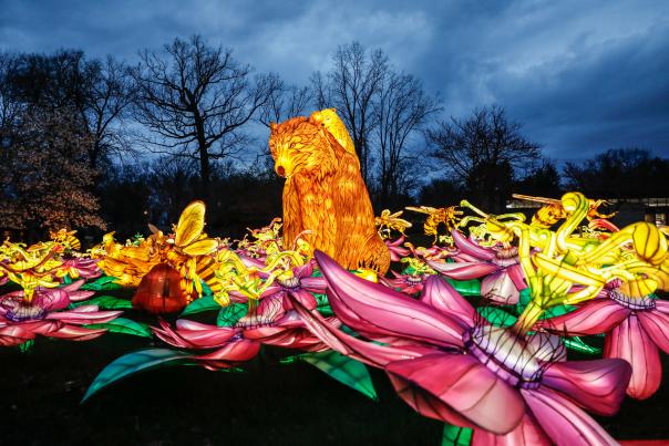 Zoo Luminate Bear and flowers
