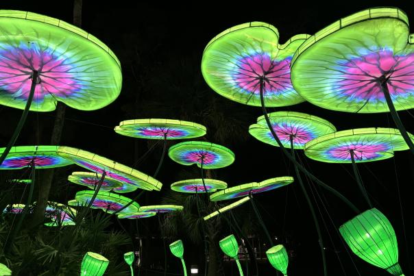 Zoo Luminate Lotus Leaves