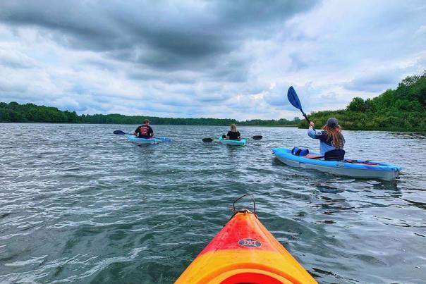 Kayak