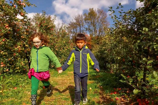 Two children run through the apple orchard at Lehman's Orchard in Niles, MI
