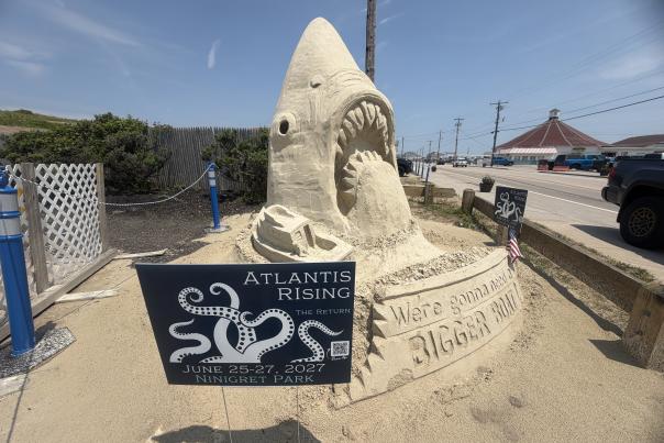 Shark Sand Sculpture