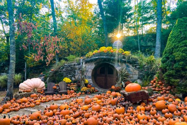 Preserve Hobbit House Pumpkins