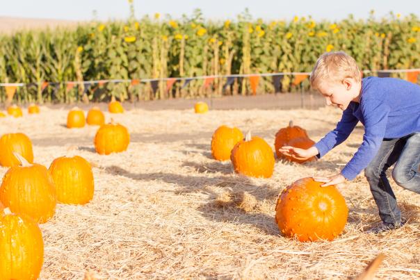 Fall Family Fun