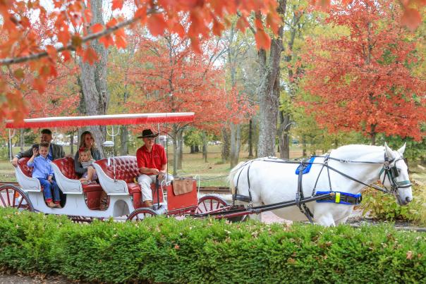 carriage ride