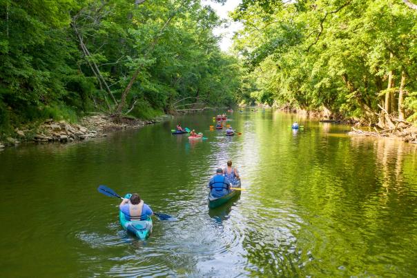 Cave Country Canoes
