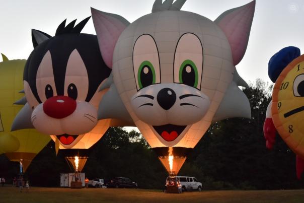 Hot Air Balloon Festival