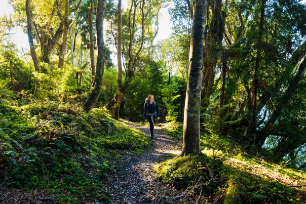 Hiker on Golden Bay Track in Stewart Island