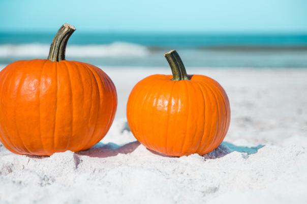 Pumpkins on Beach (Adobe Stock)