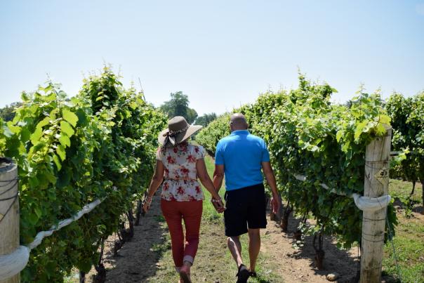 couple in the vineyard