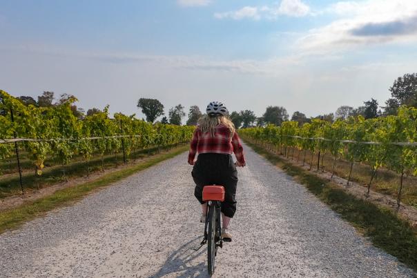 Wine Bike Route