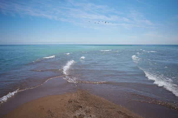 Pelee Island Canada's Best Kept Secret