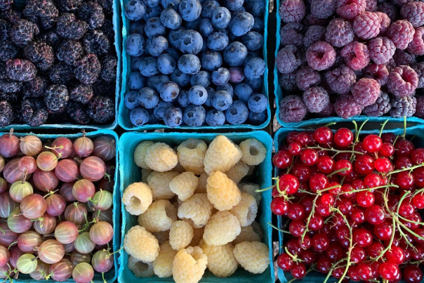 Find great berry picking spots in the Stevens Point Area