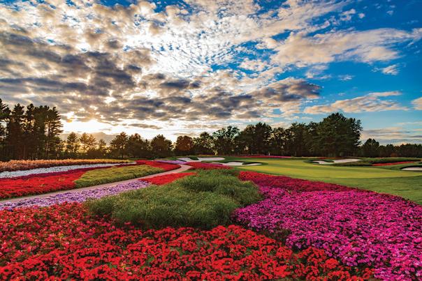 Over 50,000 flowers on the flowerhole of SentryWorlds Golf Course