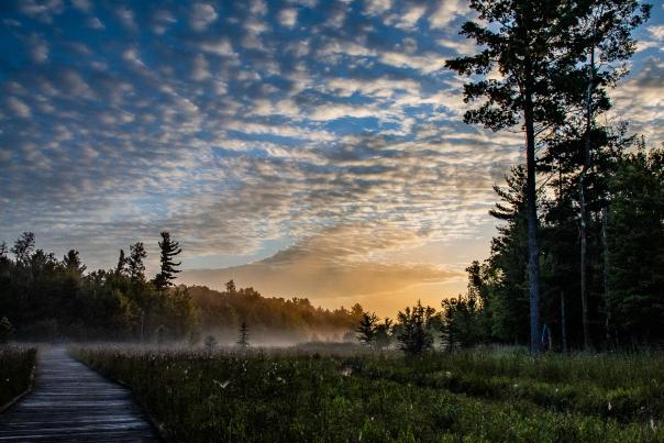 Get outdoors to explore the Green Circle Trail.