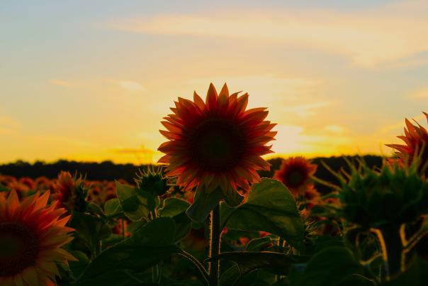 Explore endless summer fun today in the Stevens Point Area.