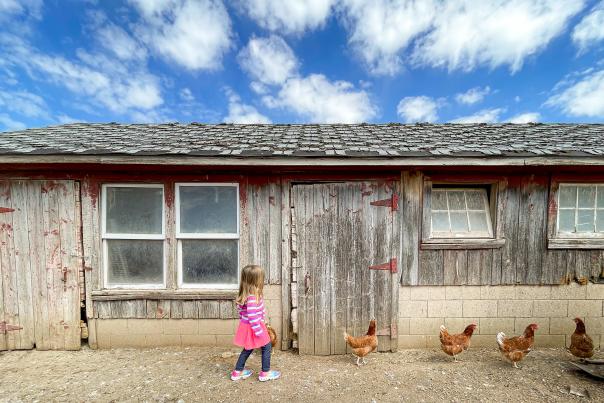 Head straight to the source for brunch on the farm at Lonely Oak Farms, held on Sundays from 10am-2pm during the growing season in the Stevens Point Area.