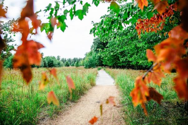 Schmeeckle Reserve in the Fall