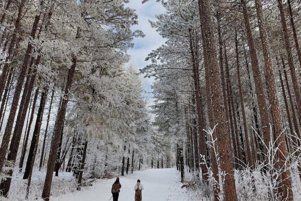 XC Skiing at Standing Rocks County Park on a snowy day
