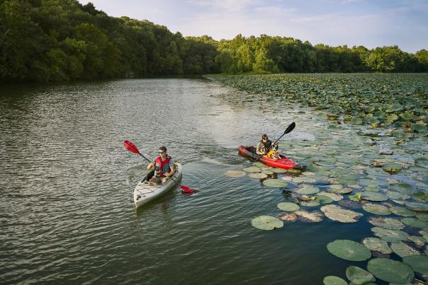 Kayakers on Lake Springfield