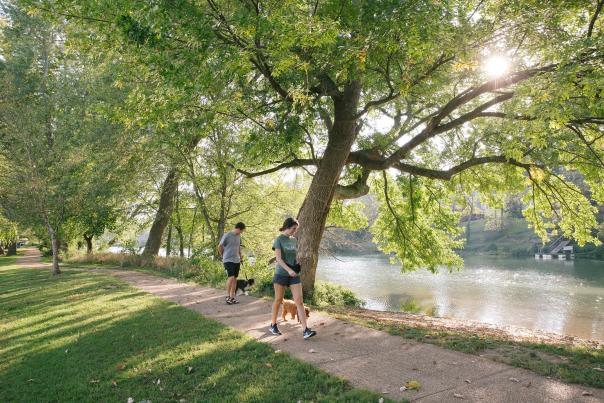 Walking in the park