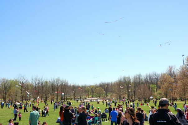 Cherry Blossom Kite & Piñata Festival
