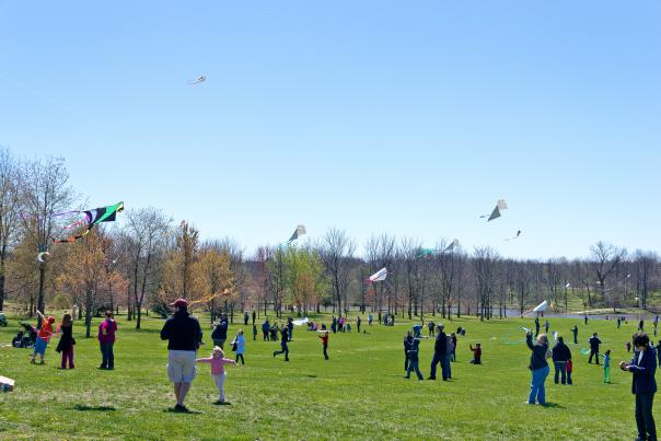 Cherry Blossom Kite & Piñata Festival