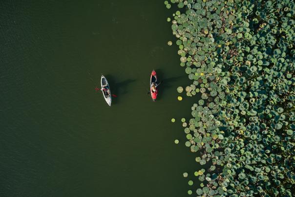 Lake Springfield
