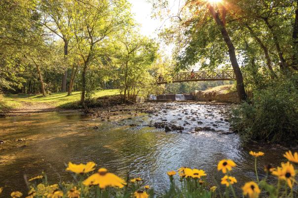 Ritter Springs Park