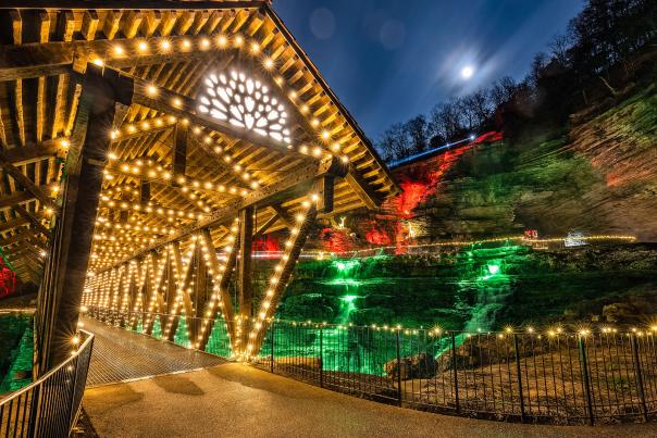 Nature at Night Top of the Rock