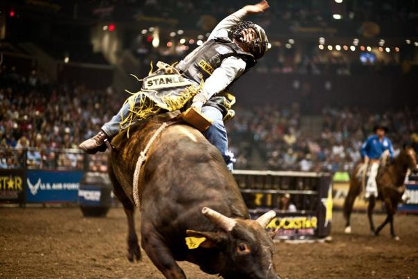 PBR Bull Riding by PFI