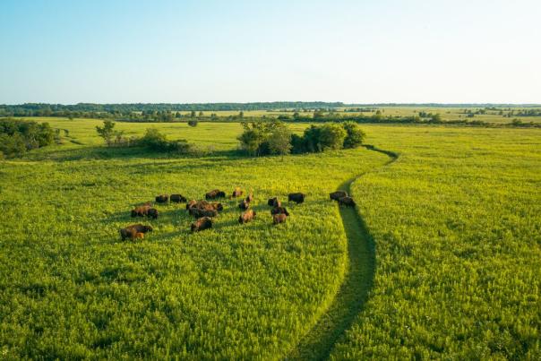 Prairie State Park