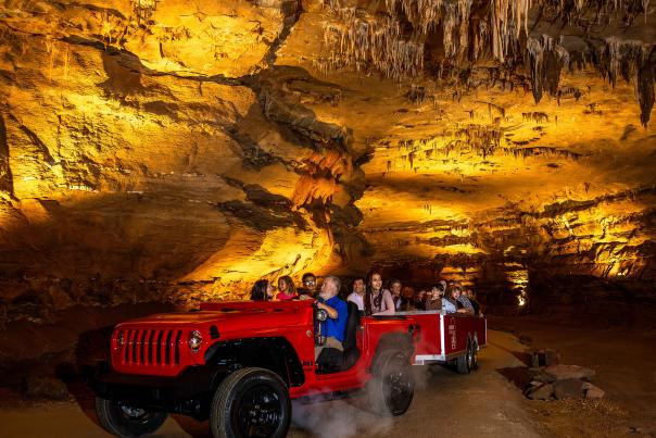 Fantastic Caverns