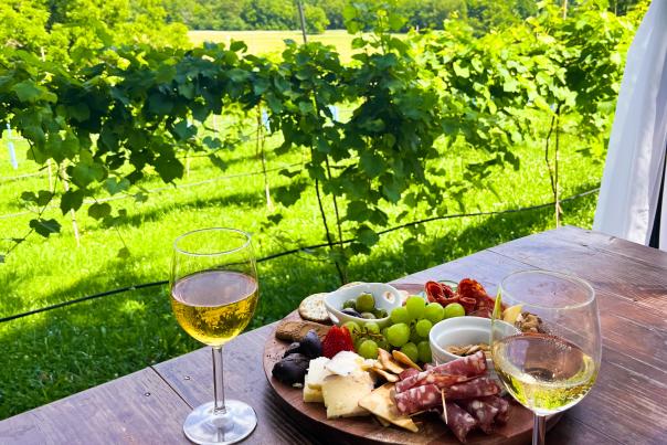 Cassell Vineyard Mansfield Missouri