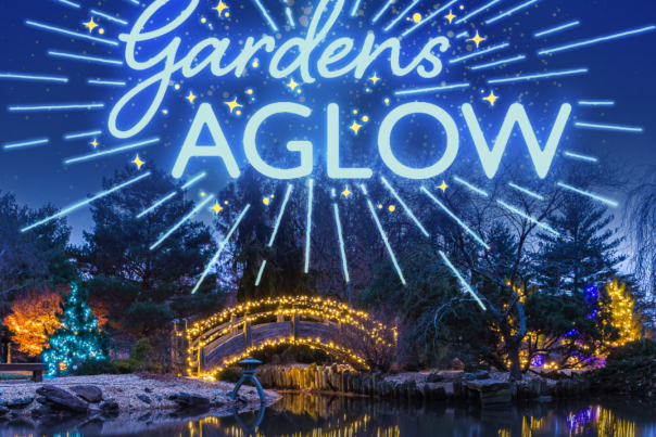 Holiday Lights at Gardens AGLOW