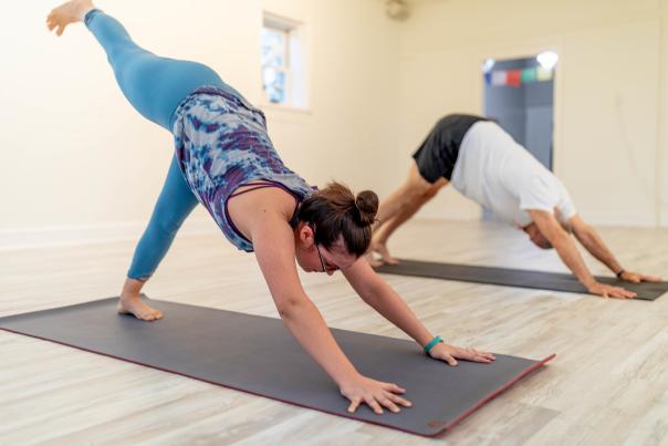 Bluebird Yoga
