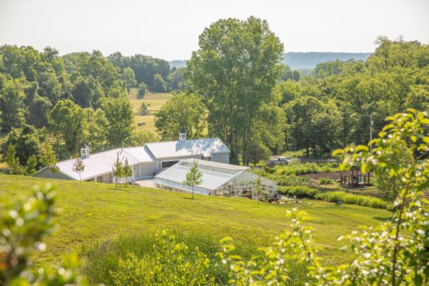 Sunflower Hill Farm