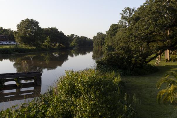 Bayou Teche St. Martinville