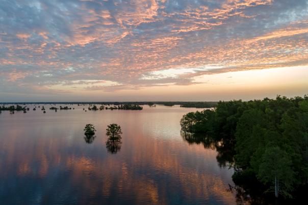 Atchafalaya Basin