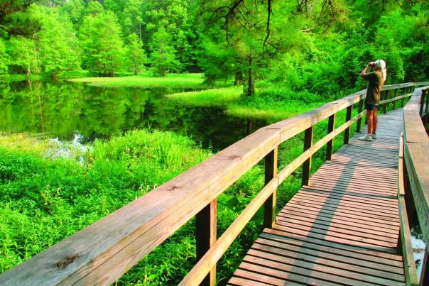 Bird Fest Northshore scenic beauty at the Northlake Nature Center