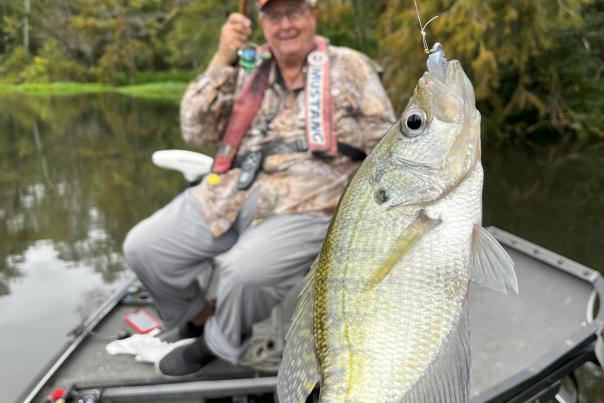 Ray Miller fishing for sac-a-lait on the Tchefuncte River.