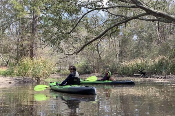 Blog Post Only Kayaking Bayou Adventure