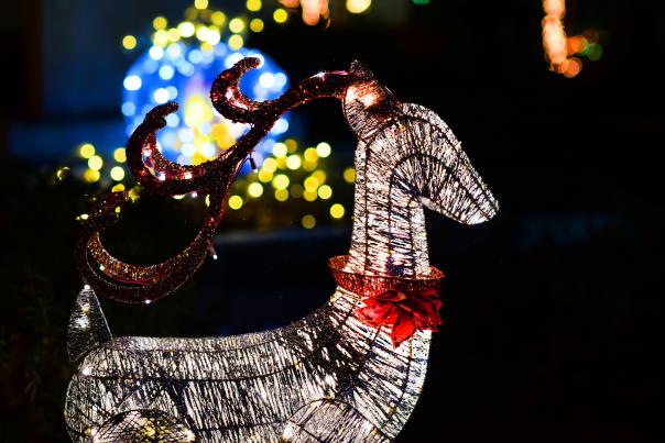Lighted deer at Slidell's Christmas under the Stars