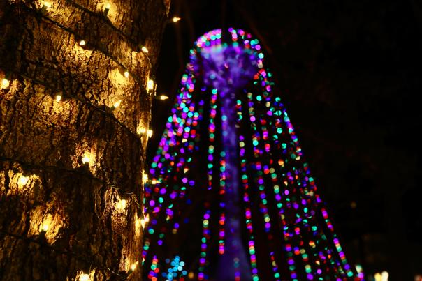 Holiday of Lights water tower Christmas Tree
