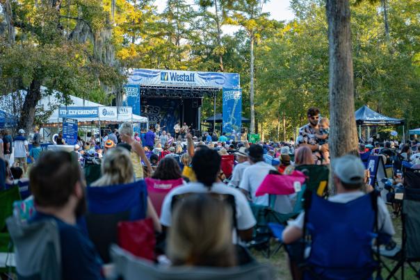 Bluesberry Festival