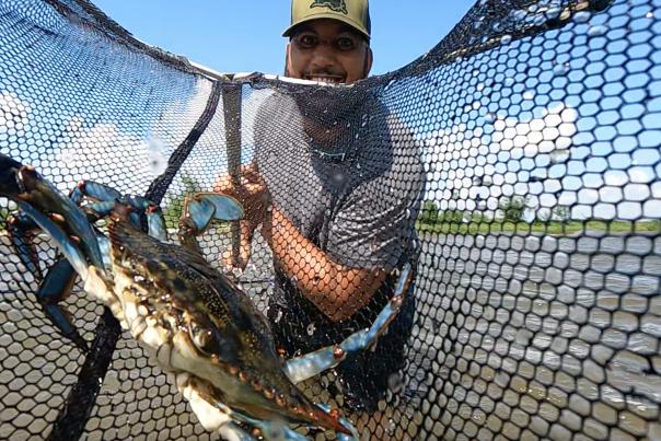 Fisherman Corey LaBostrie catches a Louisiana Blue Crab on The Northshore